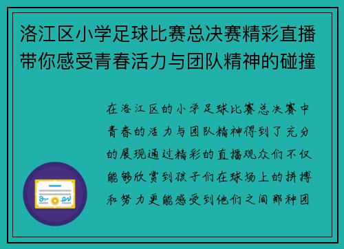 洛江区小学足球比赛总决赛精彩直播带你感受青春活力与团队精神的碰撞