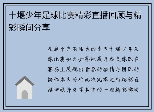 十堰少年足球比赛精彩直播回顾与精彩瞬间分享